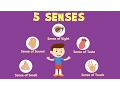 Human Sense Organs | Learn about five Senses