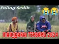 Download Lagu Lagu Manggarai Terbaru 2024 || Cvr. Erland Darmo.......