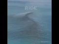 Polar Bear (2001 Remaster) - Ride