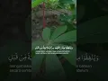 Download Lagu Lantunan tilawah merdu H Muammar Za# Surah Ibrahim ayat 31 H. Muammar za