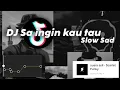 Download Lagu DJ SA INGIN KO TAU cinta ini punya perasaan - SLOW SAD || Scarlet Fvnky - Hero Nation