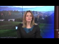 Ann open Flu