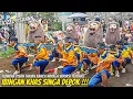 Download Lagu VARIASI BARU || IBINGAN KHAS SINGA DEPOK SUBANG  || Sadulur Grup Live Parompong Lembang