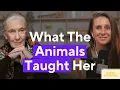 Jane Goodall: She Spent Her Life with Chimpanzees – What Animals Can Teach Us About Being Human