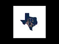Texas Criminal Procedure and Public Order Offenses