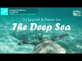 Download Lagu DJ Spyroof \u0026 Potato Inc. - The Deep Sea