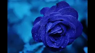 أداء لكلمات نادرة فيروز عند الأنهار 