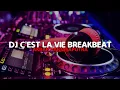 Download Lagu DJ C'est La Vie Breakbeat || Akbar Harjasaputra