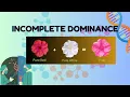 Incomplete Dominance I SHORT EXPLANATION