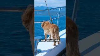 The Sailboat “Puppy” Test