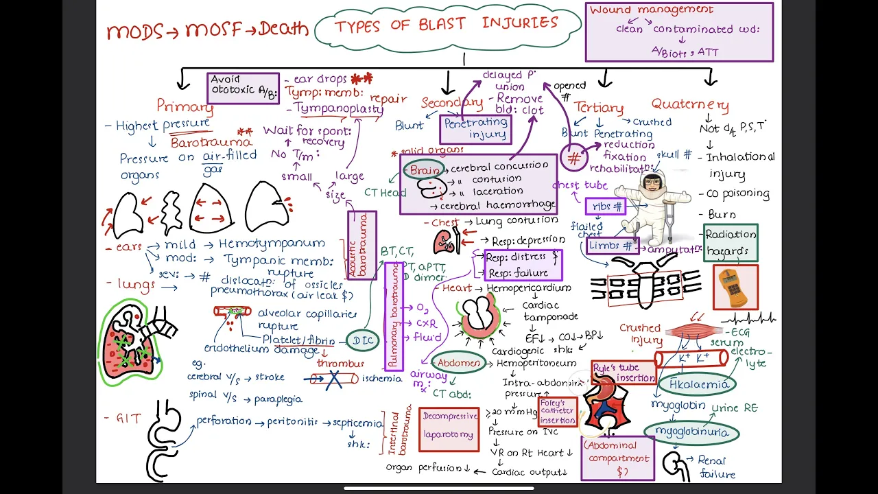 BLAST INJURIES // Management
