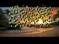 Free to Move Forward - Guided Meditation with Brad Yates