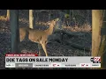 Doe tags go on sale Monday