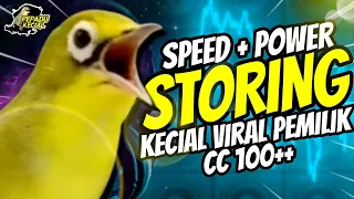 Download Kecial Kuning STORING Speed Perdetik + Power Kenceng 100 CC‼️| PEPADU KECIAL MP3