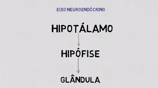 Aprendendo Fisiologia: Ciclo reprodutor feminino (por Vanessa M. Ceglarek)