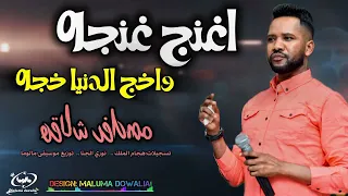 لي حق اغنج غنجه واخج الدنيا خجه    مصطفى شلاقه    الاغنيه الترند جديد اغاني سودانيه      دندنها