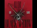 Alok - Black Widow (Alec Marsh Bootleg)