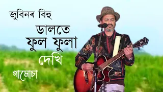 dalote ful fula dekhi