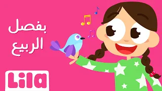 بفصل الربيع ليلا تي في 