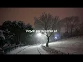 SEZEN AKSU - HAYDİ GEL BENİMLE OL (LYRİCS - SÖZLERİ)