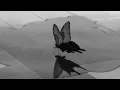 Download Lagu Butterflies - Tom Odell ft. AURORA ~ • slowed + reverb •
