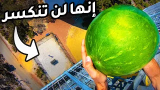                                  دندنها