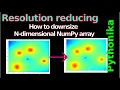 Reducing domain resolution Downsize N-dimensional NumPy array