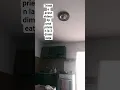 Download Lagu Pov:copii de 6 ani care cred în monstrul de sub pat. 😂😂😂