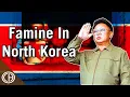 What Caused the North Korean Famine