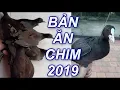 Download Lagu Tiếng Quốc Biển , Quốc Móc , Trích Ré Cuối Vụ Ghép Với Sâm Cầm Mới Nhất 2019