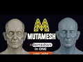 1-Click Professional Remeshing in Blender
