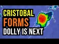 Tropical Storm Cristobal Forms