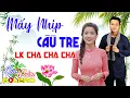 Download Lagu Mấy Nhịp Cầu Tre, LK Bolero Cha Cha Toàn Bài Hay, Phối Mới Cực Chuẩn Nghe Thử Nghiện Luôn Nhé