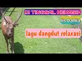 Download Lagu DI TINGGAL KEKASIH Dangdut