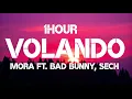Mora - Volando Remix (1Hour) Ft. Bad Bunny, Sech