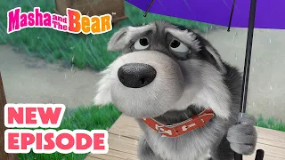 Masha And The Bear 2025 NEW EPISODE Don T Sell Me A Dog Best Cartoon Collection 