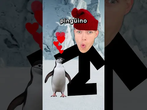 El Pingüino Lo Salvó 🥹