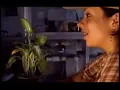 LOS TIGRES DEL NORTE - CAMELIA