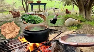 حياة القرية قامت الجدة بقطف الاعشاب البرية لطبخ وصفة صحية جدا مفيدة للمفاصل والعظام حاربيط في الريف 