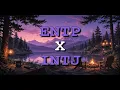 ENTP x INTJ Relationship Compatibility MBTI Explained
