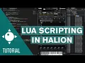 Introduction to LUA Scripting in HALion How to build a Sample Instrument in HALion - Episode 3