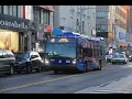 Q8 bus announcements to Jamaica-165 St Terminal