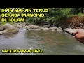 Lagu HEBOH.! Mancing Nilem ikan Makan Terus Seperti Mancing di Kolam #LM31
