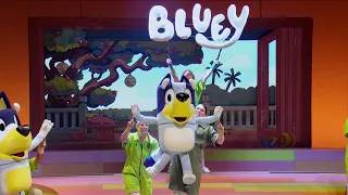 Bluey s Big Play U S Tour 2026