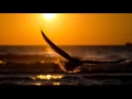 Download Lagu ❰Chillstep❱ Sappheiros - Beyond