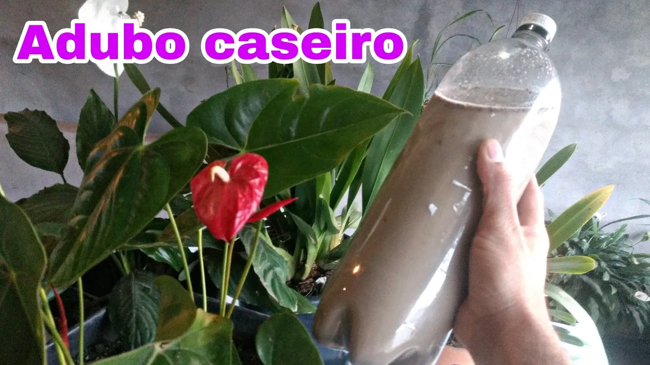ADUBO CASEIRO PARA ORQUÍDEAS E PLANTAS