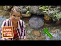 Download Lagu Der glitschige Riesensalamander | Reportage für Kinder | Anna und die wilden Tiere