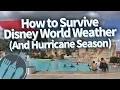 How To Survive Disney World Weather And Hurricane Season