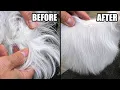 DO NOT Shave That Matted Tail Professional Dematting Tutorial