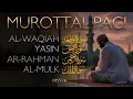 Lagu Murottal Pagi Pembuka Rezeki | Surah Al Waqiah,Yasin,Ar Rahman,Al Mulk | murottal alquran merdu